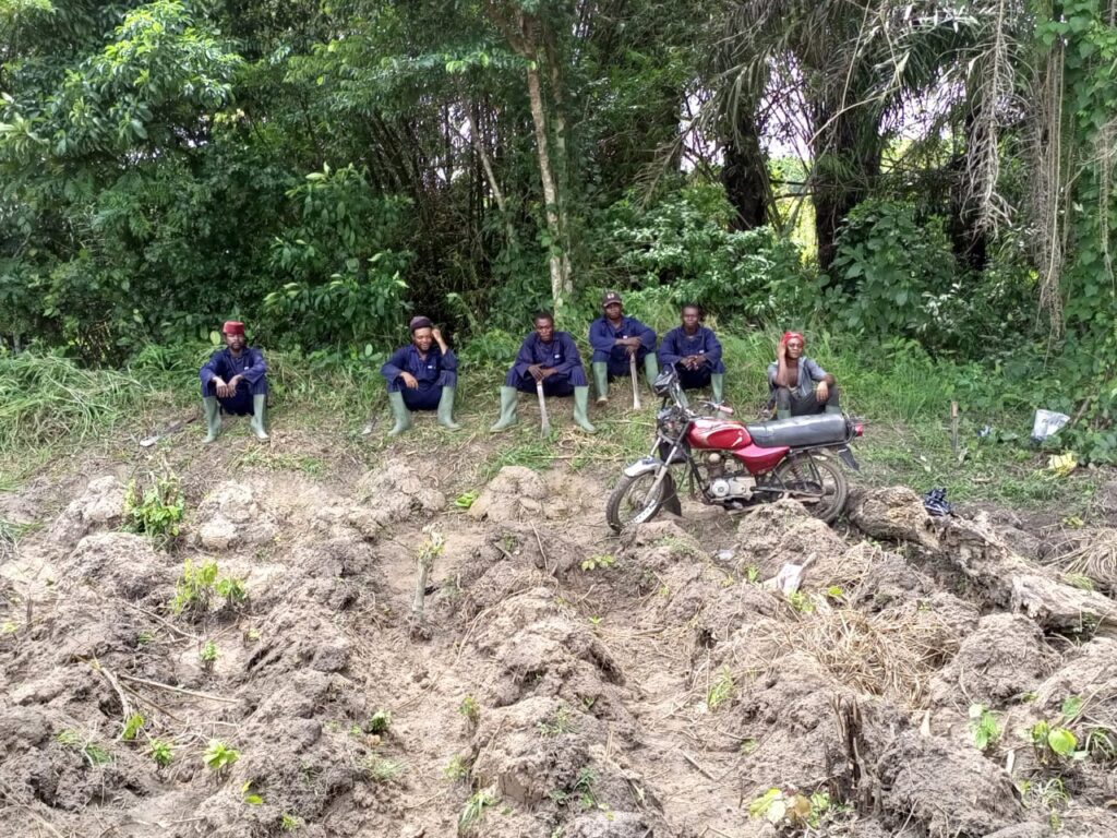 WhatsApp Image 2025 07 07 At 2.36.14 PM 1024x768