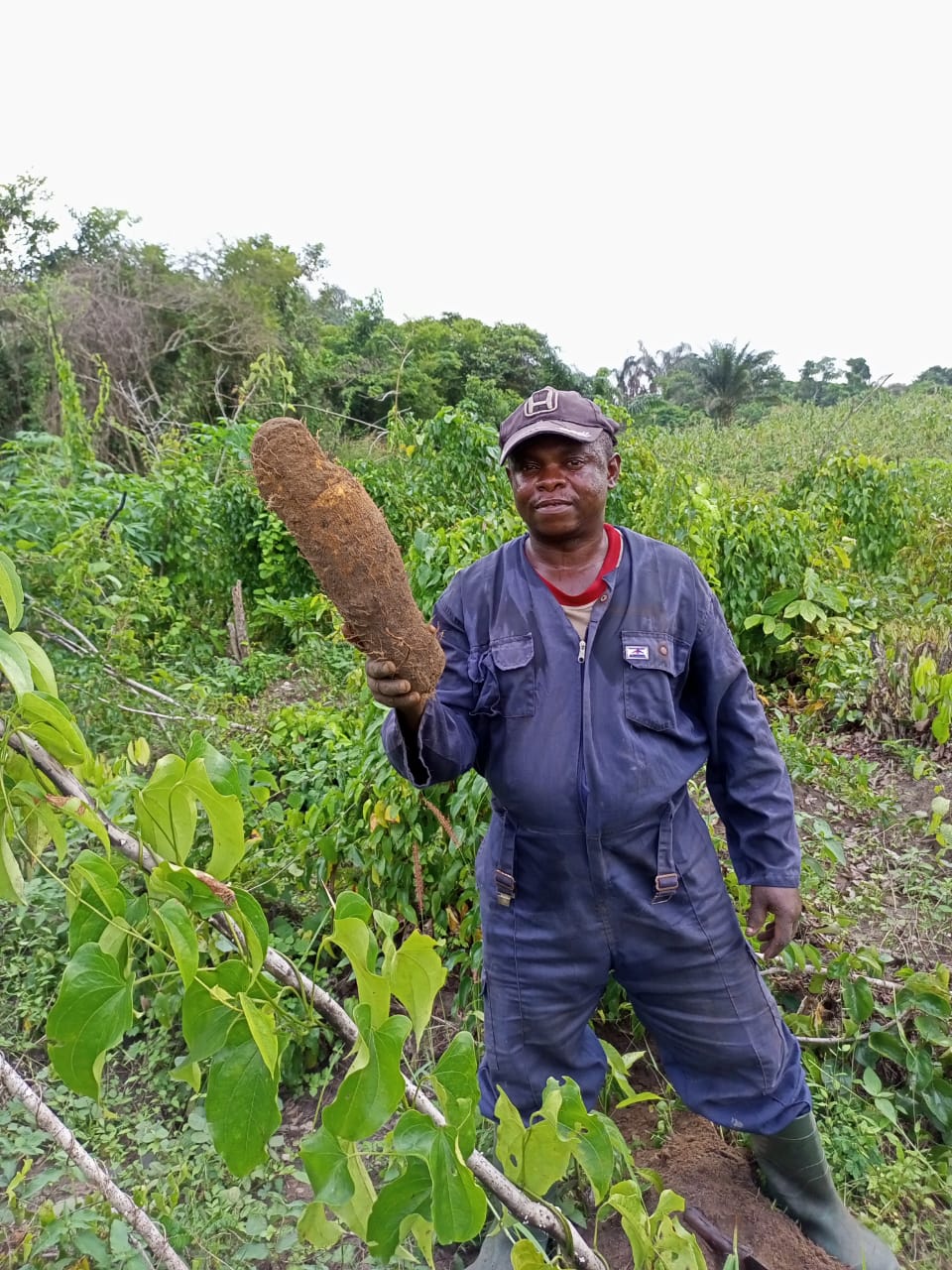 whatsapp image 2025 07 07 at 2.36.23 pm (1)