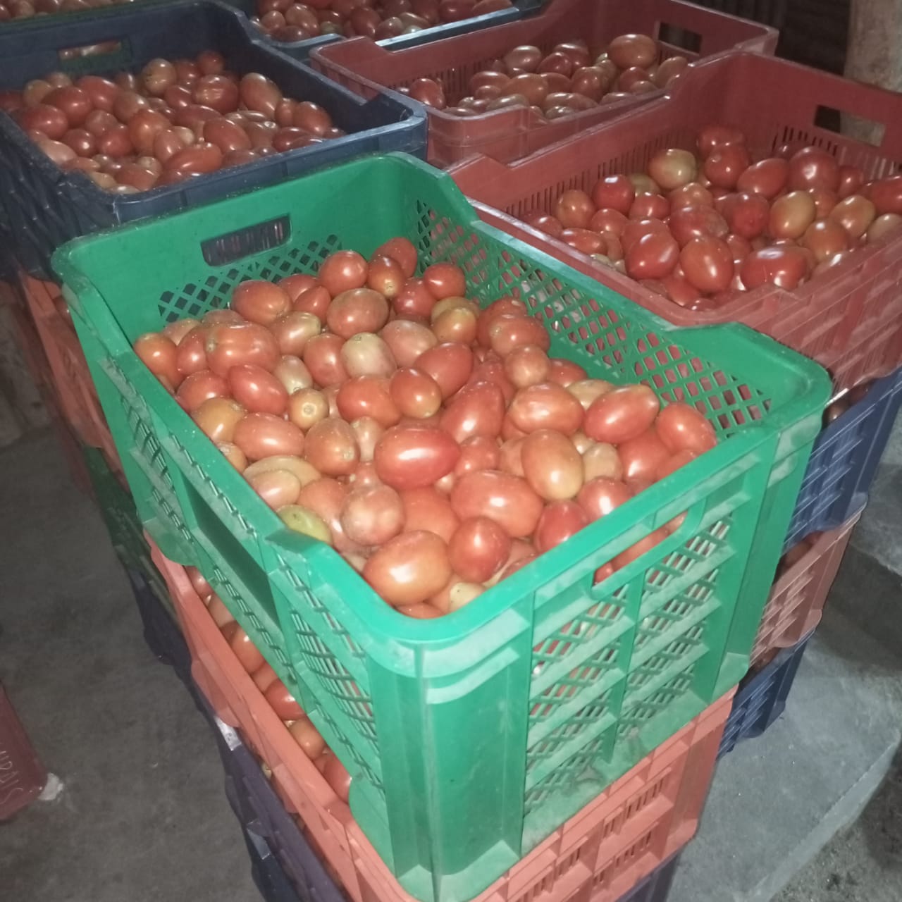 whatsapp image 2025 07 10 at 2.41.34 pm (1)