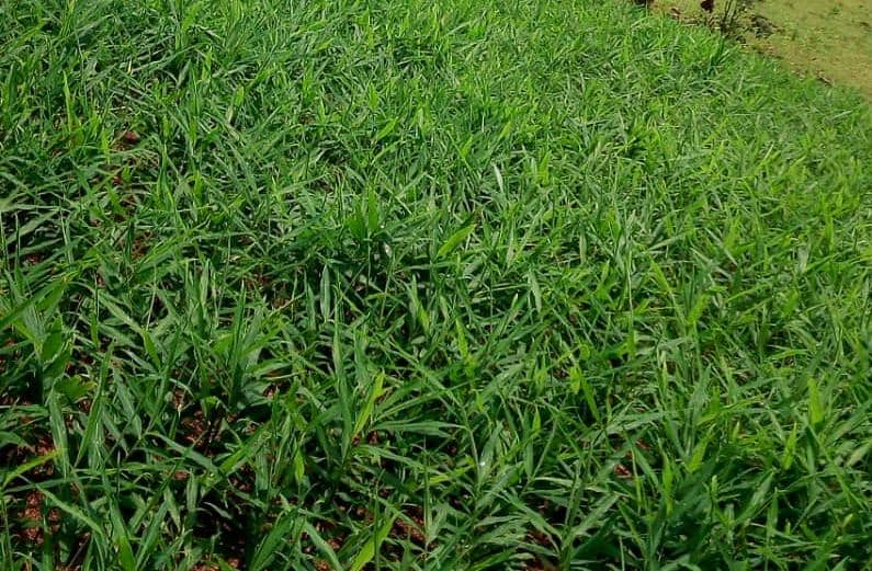 whatsapp image 2025 11 11 at 4.30.00 pm