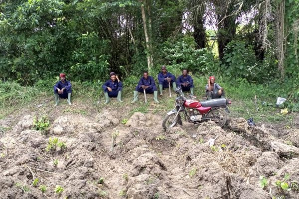 whatsapp image 2025 07 07 at 2.36.14 pm