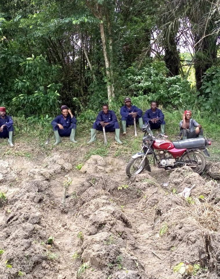 whatsapp image 2025 07 07 at 2.36.14 pm