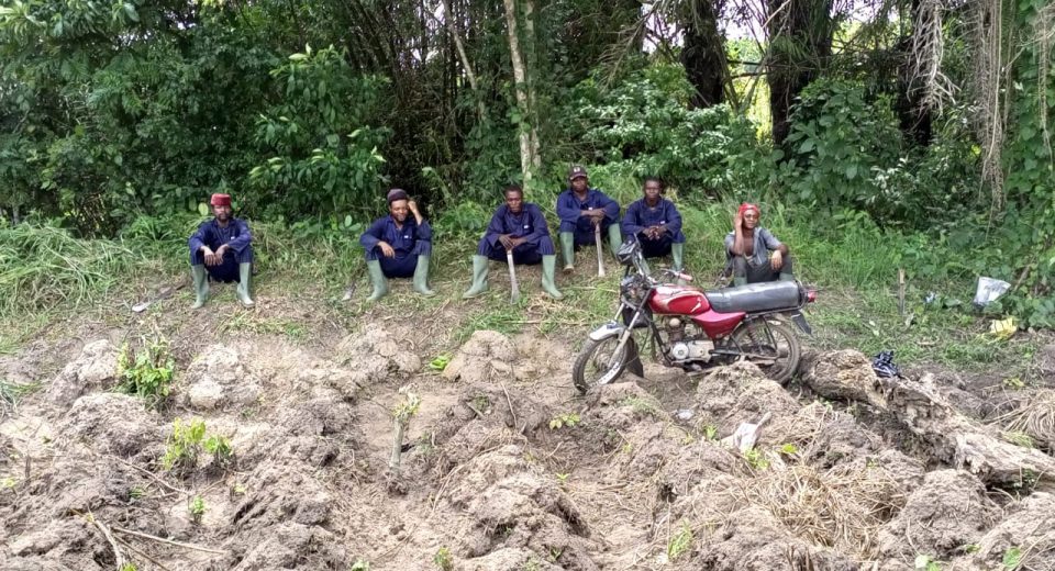 whatsapp image 2025 07 07 at 2.36.14 pm