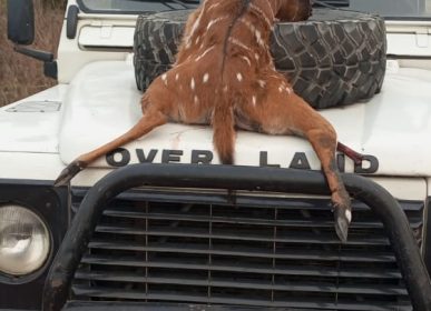 whatsapp image 2025 07 07 at 2.36.22 pm