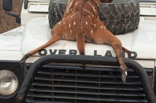 whatsapp image 2025 07 07 at 2.36.22 pm