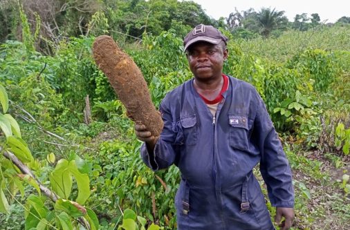 whatsapp image 2025 07 07 at 2.36.23 pm (1)