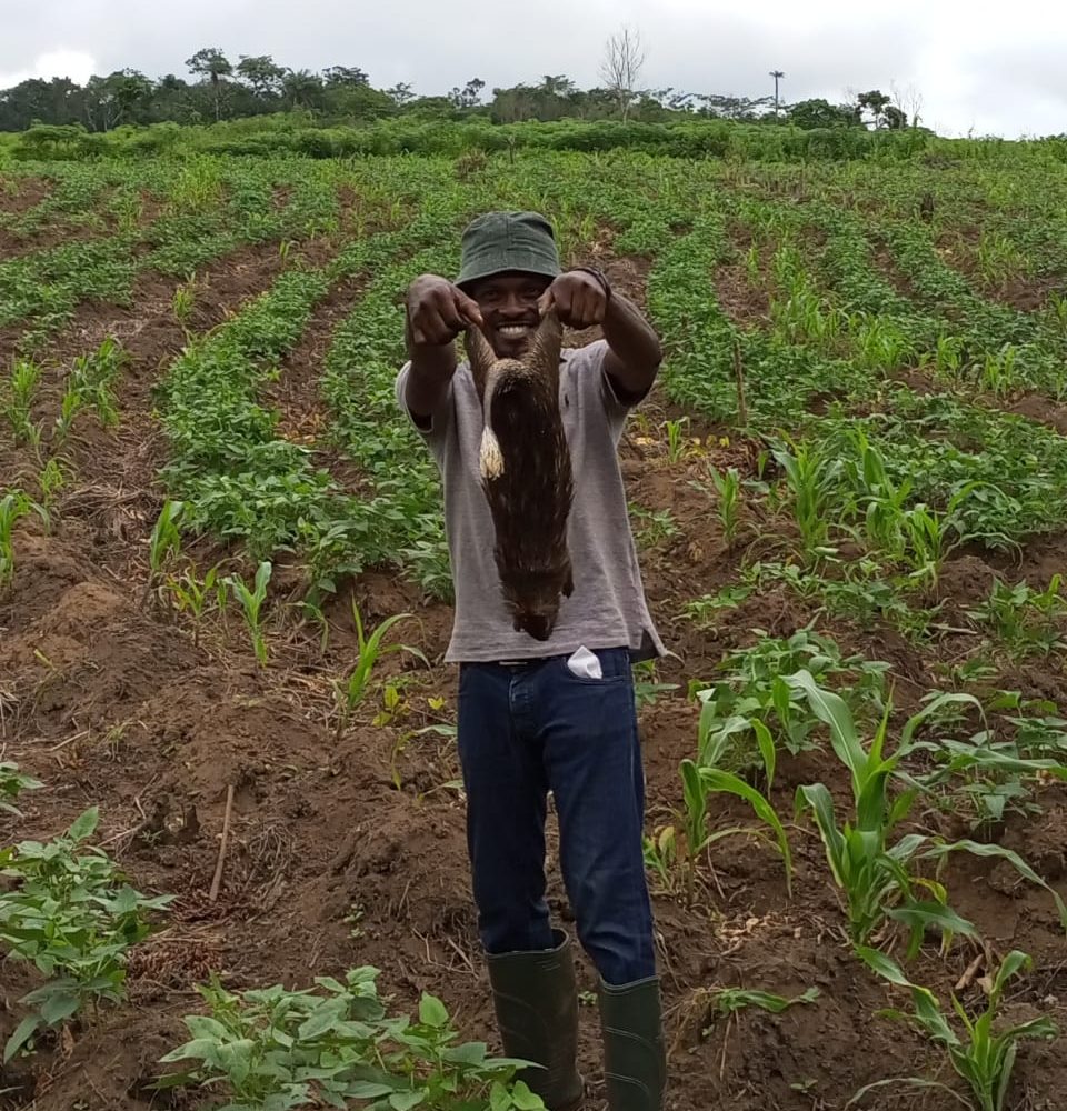 whatsapp image 2025 07 07 at 2.36.25 pm (2)