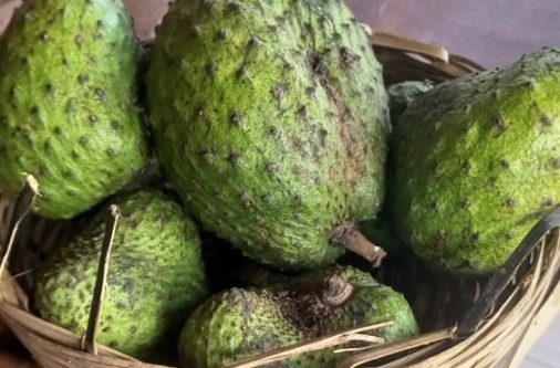 whatsapp image 2025 07 07 at 2.36.29 pm