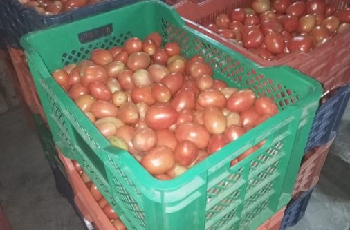 whatsapp image 2025 07 10 at 2.41.34 pm (1)