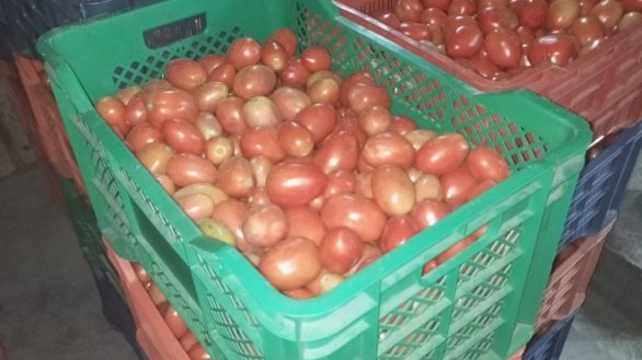 whatsapp image 2025 07 10 at 2.41.34 pm (1)