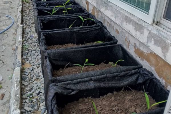 whatsapp image 2025 11 11 at 4.58.57 pm