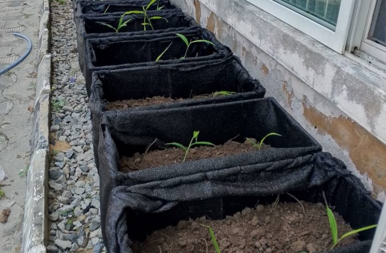 whatsapp image 2025 11 11 at 4.58.57 pm