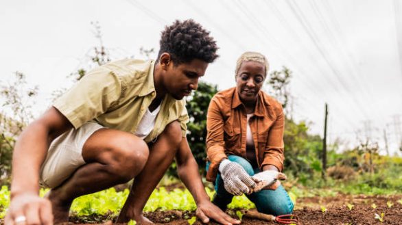 mother and son planting on community garden